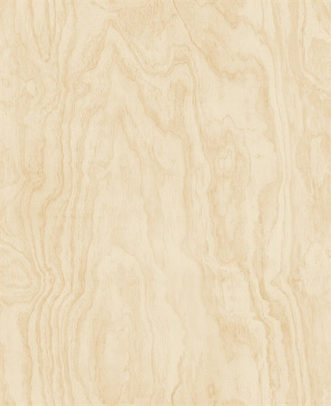 Bentham Neutral Plywood Wallpaper