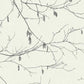 Winter Branches Wallpaper