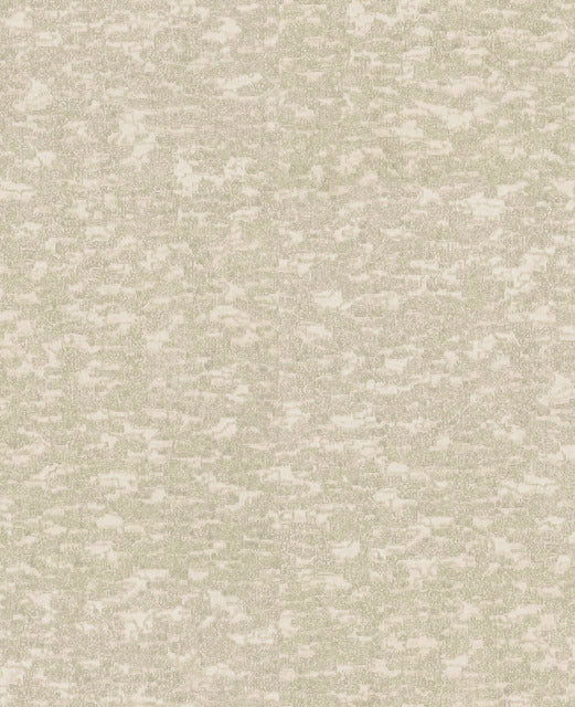 White Weathered Cypress Wallpaper