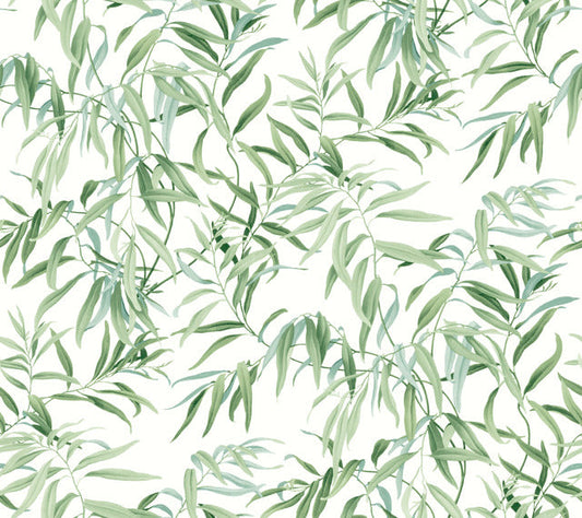 Green Willow Grove Forest Wallpaper