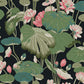 Black/Pink Lotus Pond Midnight/Flamingo Wallpaper