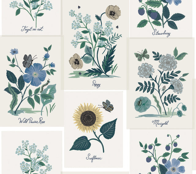 White/Blue Botanical Prints Wallpaper