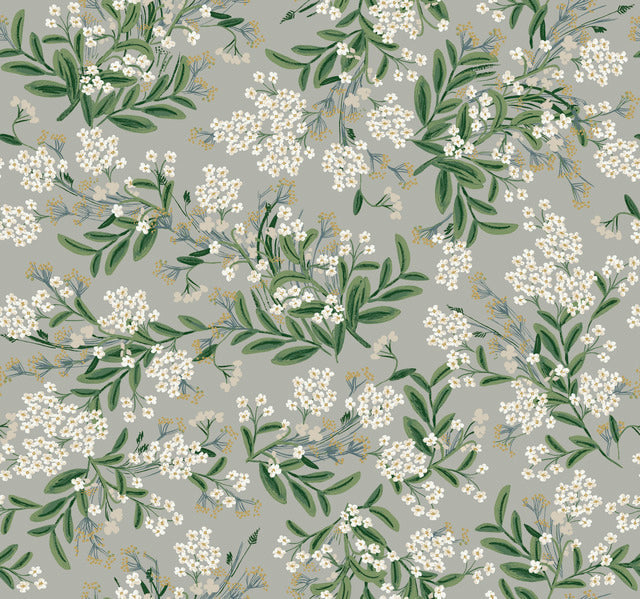 Gray/Green Cornflower Wallpaper