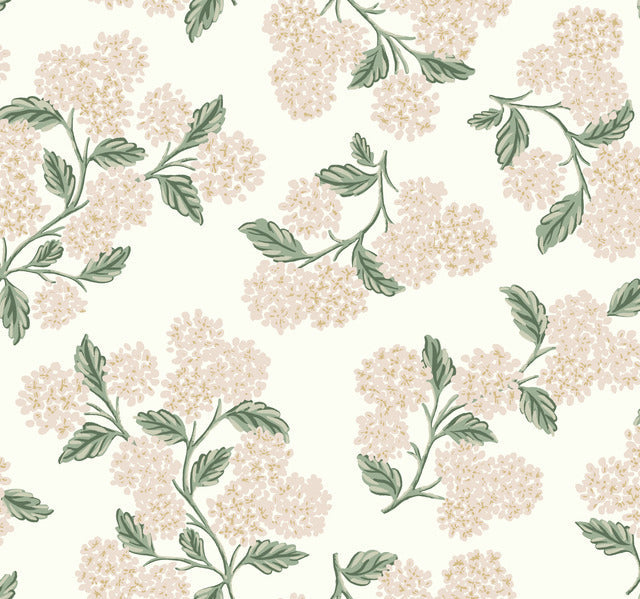 Beige/Pink Hydrangea Wallpaper