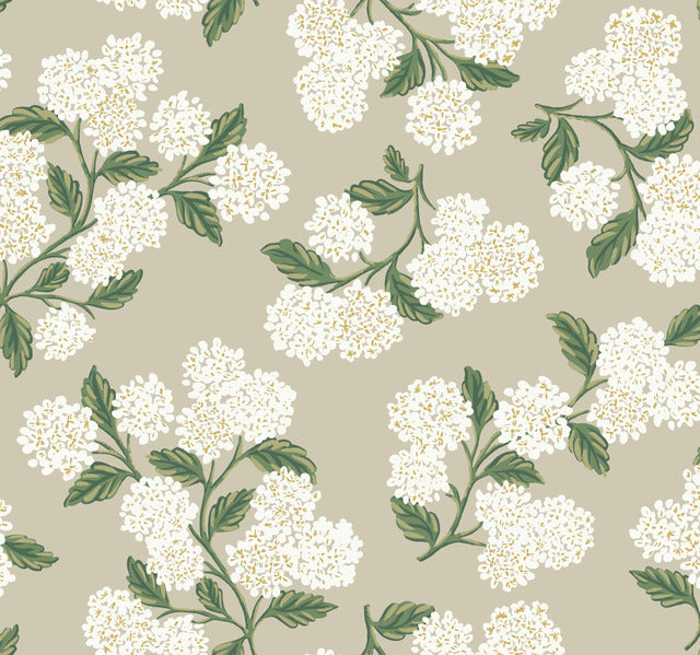 Beige Hydrangea Wallpaper