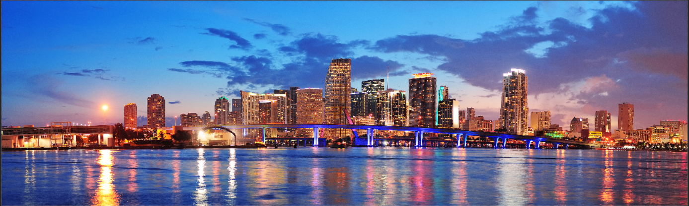 Custom Order Miami Skyline wallpaper mural